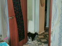 2-к квартира, 56 м², 2/2 эт.