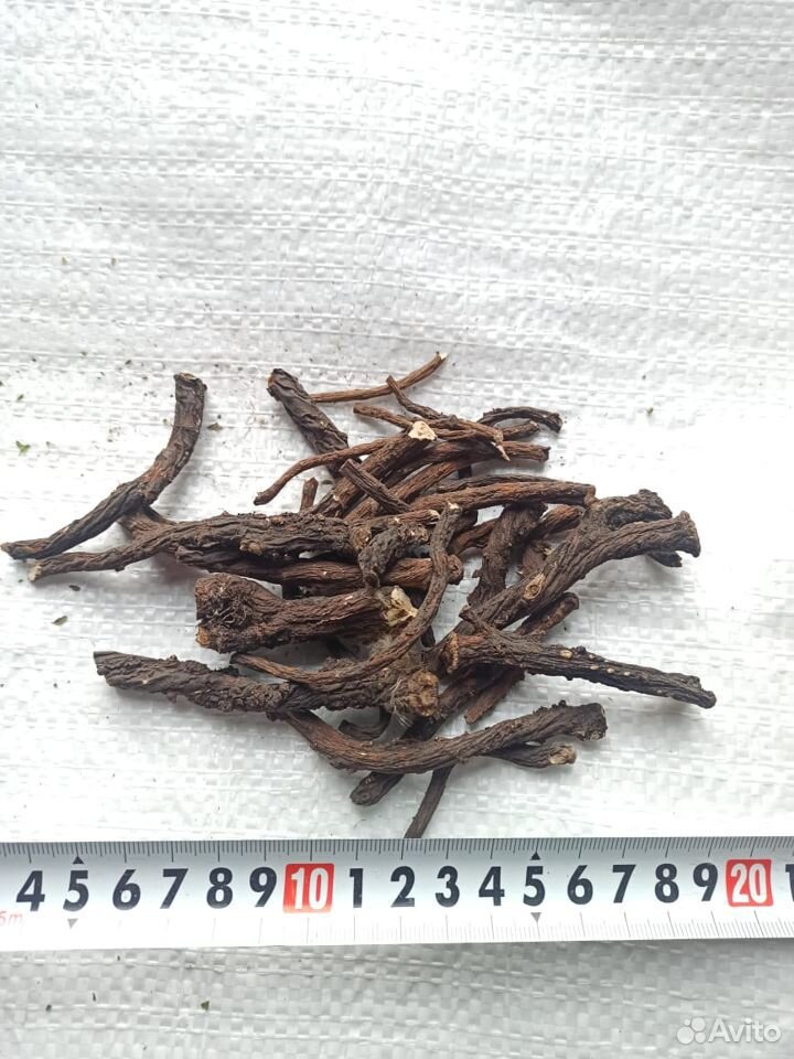 Пятьсот корень. Корень в слове пятьдесят восемь. Красная щетка корень (50 гр). Пятьсот корень. Пятьсот корень.