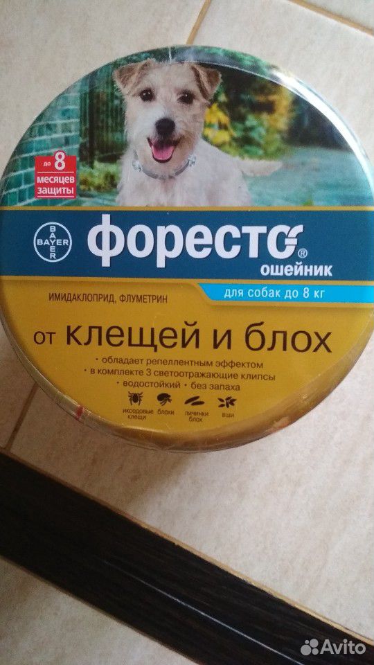 Форесто ошейник для собак менее 8 кг купить на Зозу.ру - фотография № 1