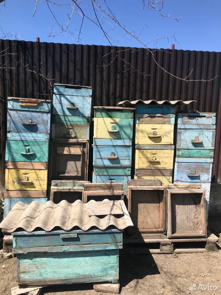 Ящики для пчёл,рамы купить на Зозу.ру - фотография № 1