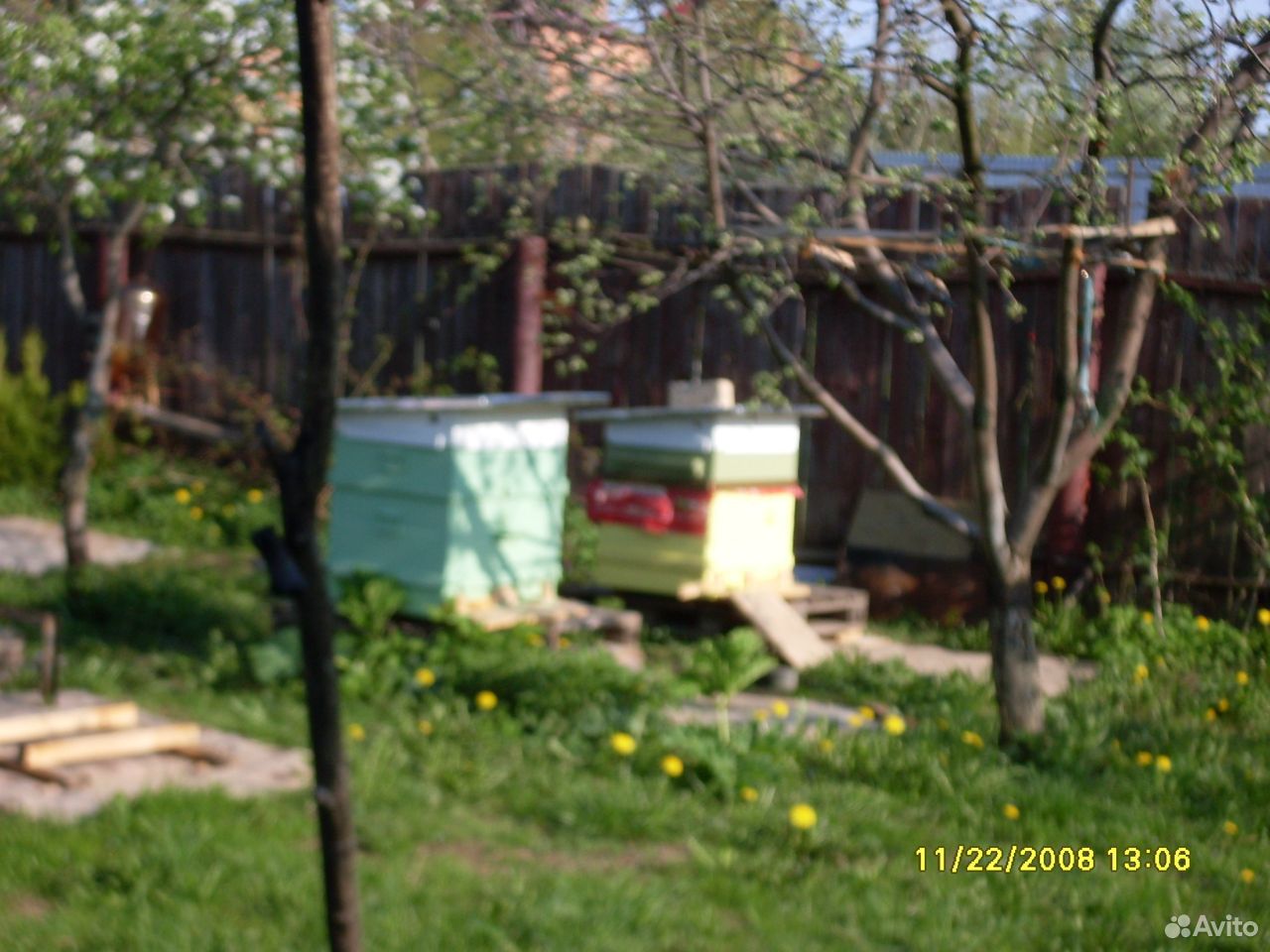 Пчёлы ульи ловушки купить на Зозу.ру - фотография № 3