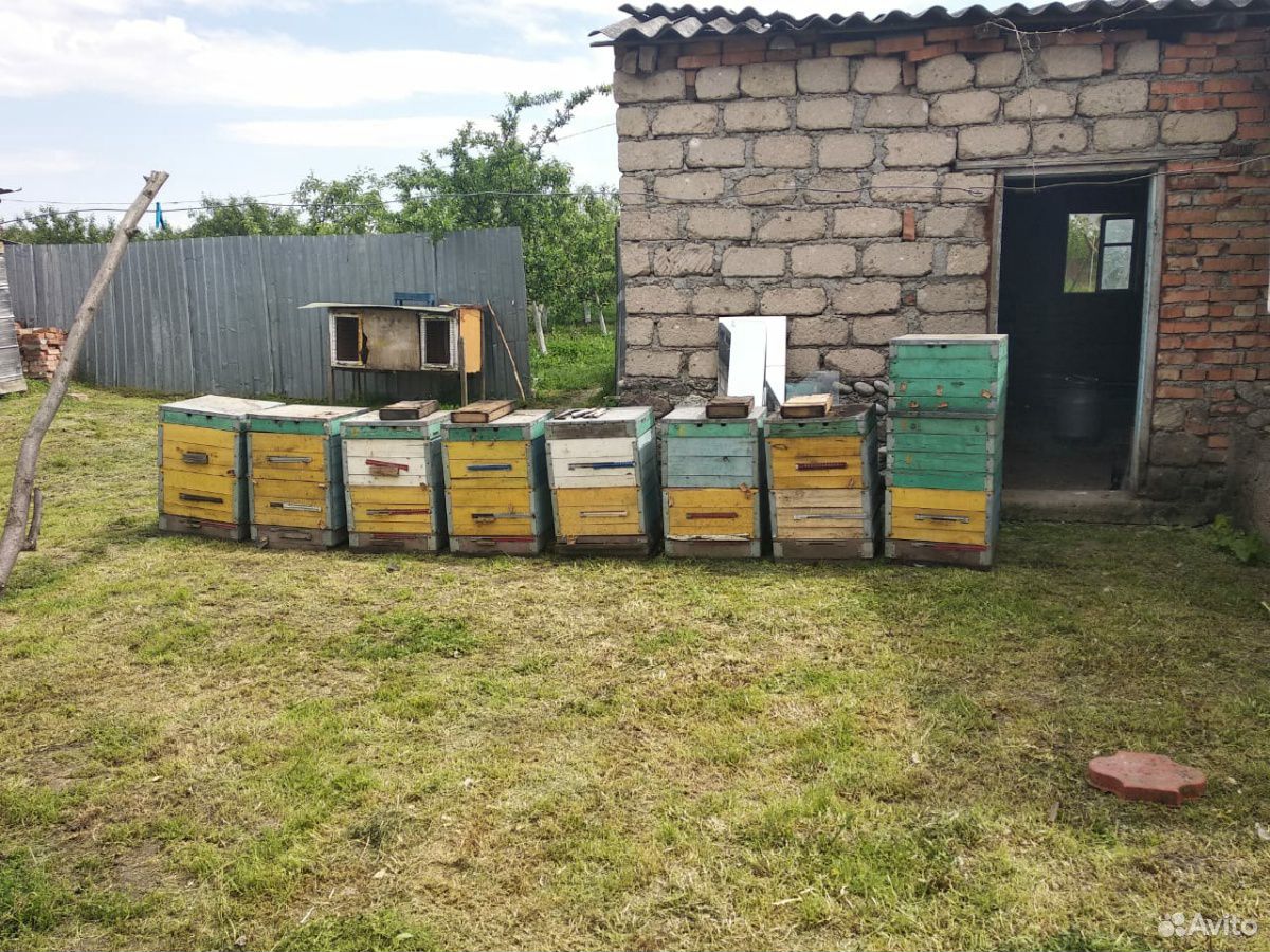 Ящики для пчел купить на Зозу.ру - фотография № 1