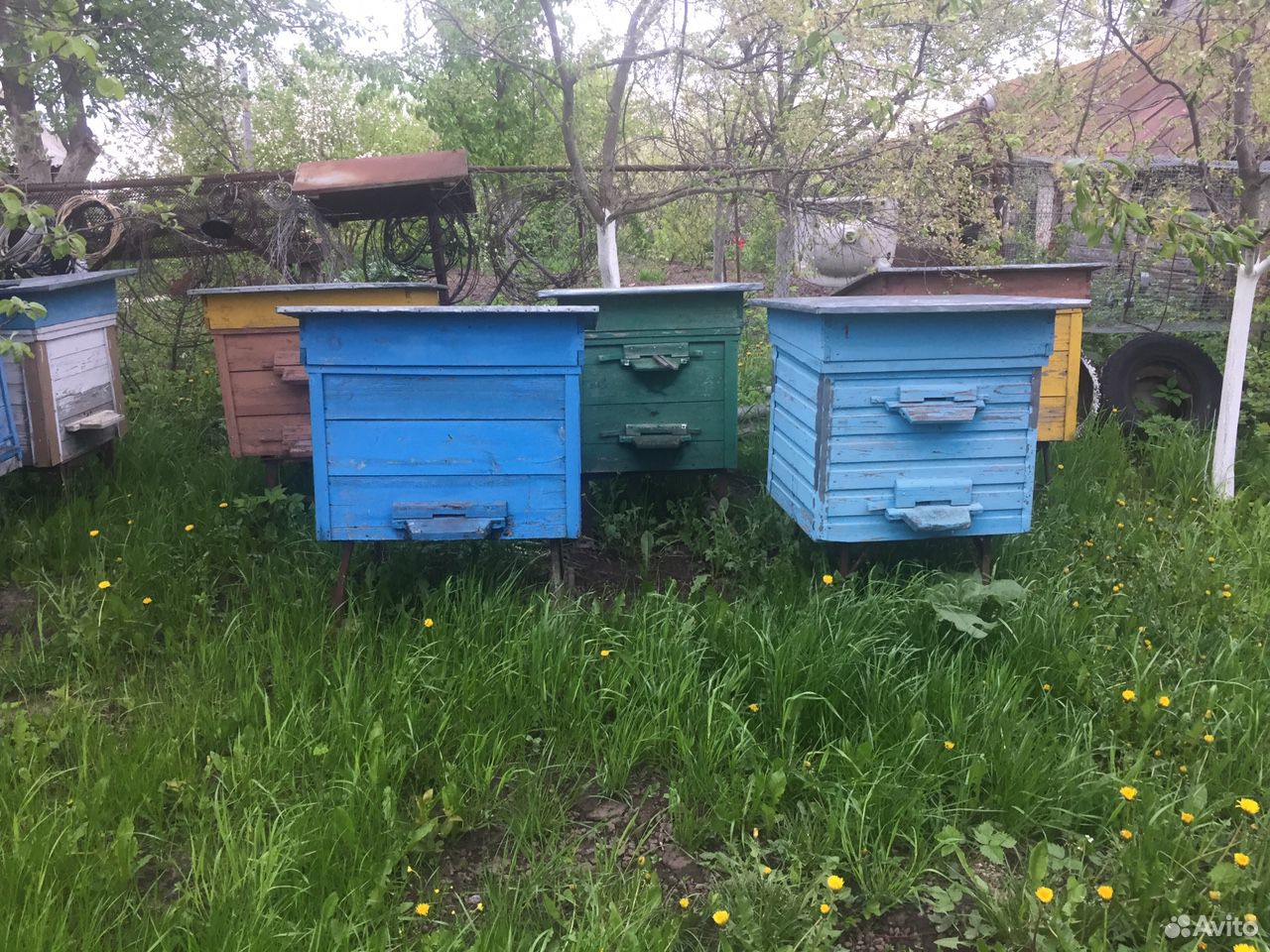 Пчелиные улья купить на Зозу.ру - фотография № 2