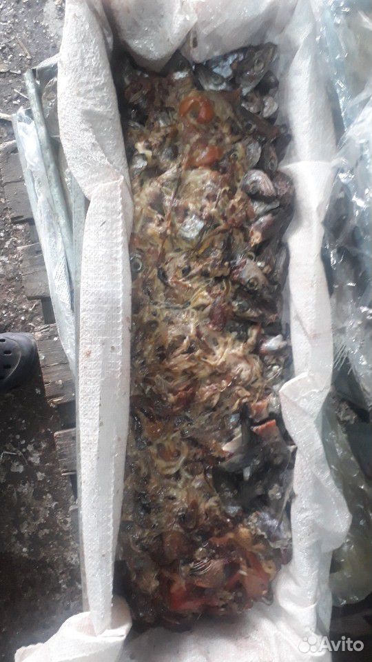 Рыбные отходы купить на Зозу.ру - фотография № 4