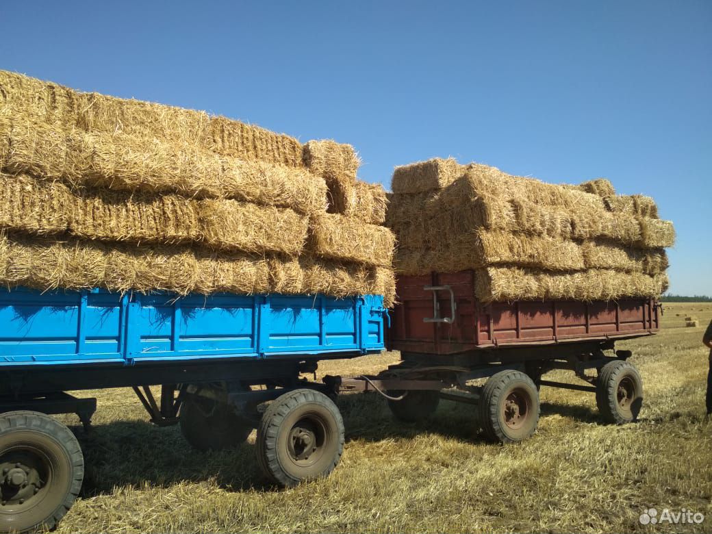 Салома пшеничная купить на Зозу.ру - фотография № 1