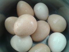 Цесариные яйца
