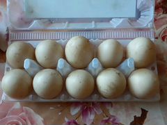 Инкубационные яйца индоутки