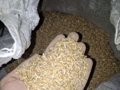 Зерносмесь (пшеница, ячмень, кукуруза, горох)