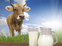 Молочная продукция, молоко, сметана, творог разной
