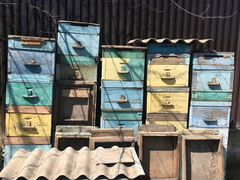 Ящики для пчёл,рамы