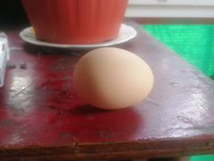 Яйца Брама