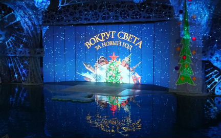 Москвариум Шоу «Вокруг света за Новый год»