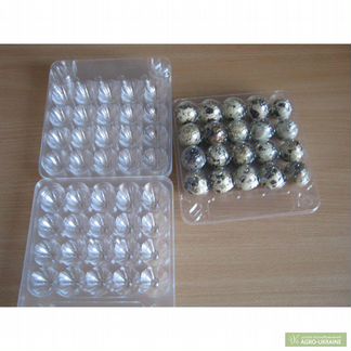 Упаковка перепелиных яиц