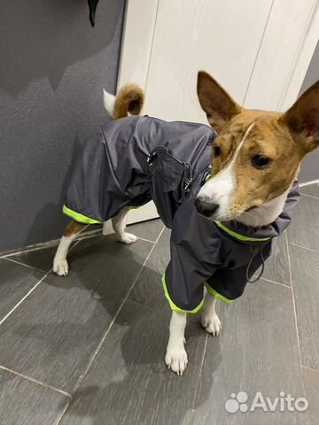 Дождевик-комбинезон Премиум р11 Laira