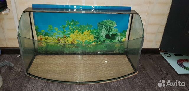 Аквариум террариум