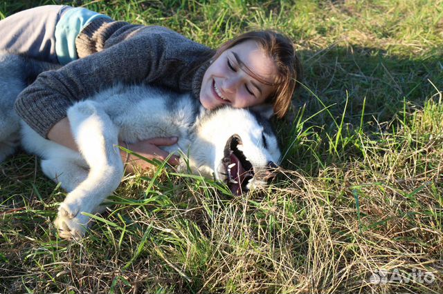Зооняня, выгул собак, передержка