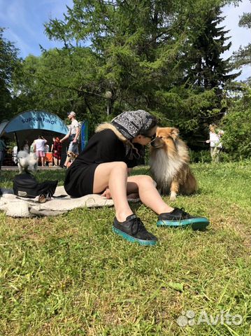 Передержка собак,догситтер,Приморская