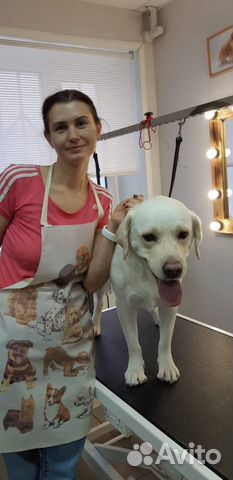 Грумер стрижка собак и кошек