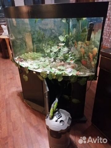 Аквариум с тумбой 200л