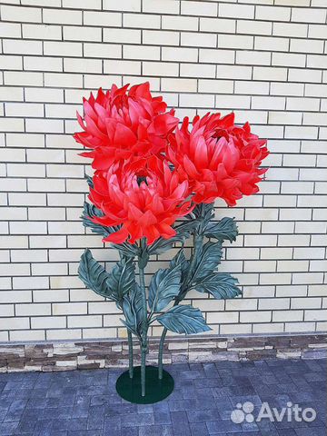 Ростовые цветы