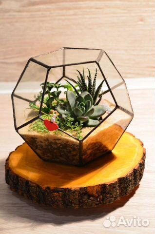 Флорариум Додекаэдр с суккулентами