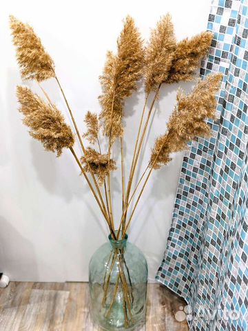 Букет из сухоцветов