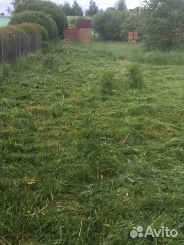 Участок 10 сот. (СНТ, ДНП) Участок 10 сот. (СНТ, ДНП)