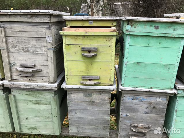Продам ульи для пчёл и пчелосемьи купить на Зозу.ру - фотография № 8