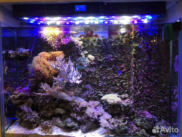 Морской аквариум 160 л Морской аквариум 160 л