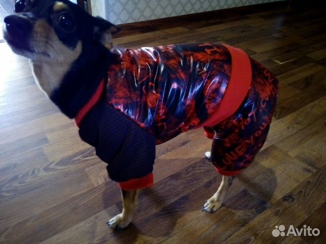 Комбинезон зимний для собаки купить на Зозу.ру - фотография № 2