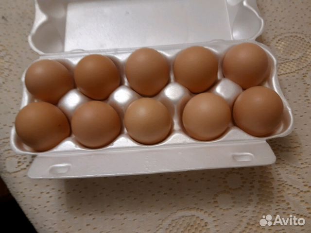 Купить инкубационное яйцо кучинской