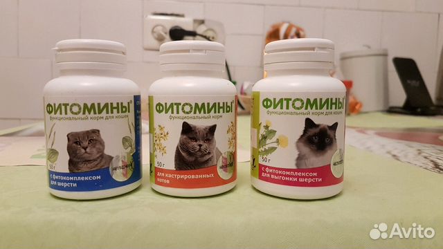 Семинтра для кошек купить. Семинтра для кошек реклама. Семинтра купить для кошек. Фитомины для кошек можно ли давать собакам.