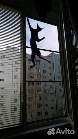 Москитные сетки