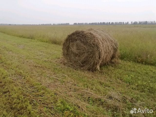 Сено в рулонах