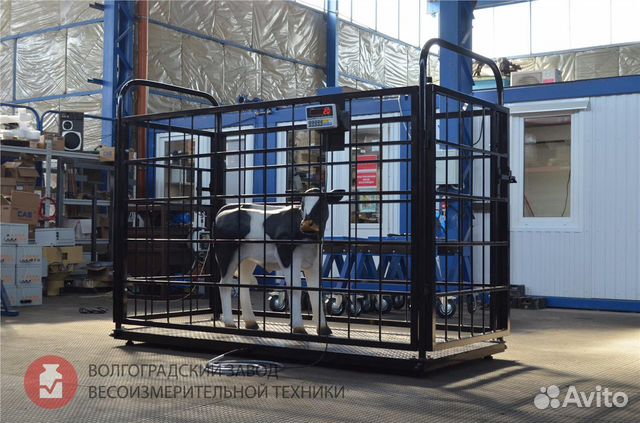 Весы для животных Эльтон Скотские Весы для животных Эльтон Скотские