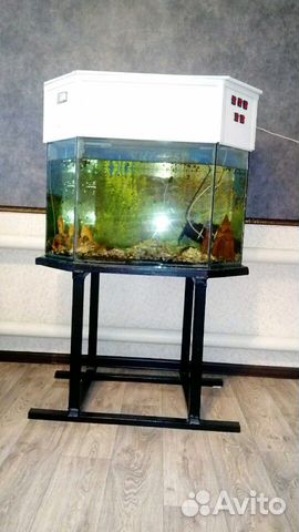 Продаются аквариумы купить на Зозу.ру - фотография № 1