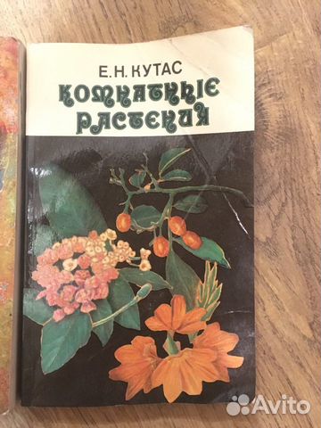Комнатные растения, англо-русский словарь терминов Комнатные растения, англо-русский словарь терминов