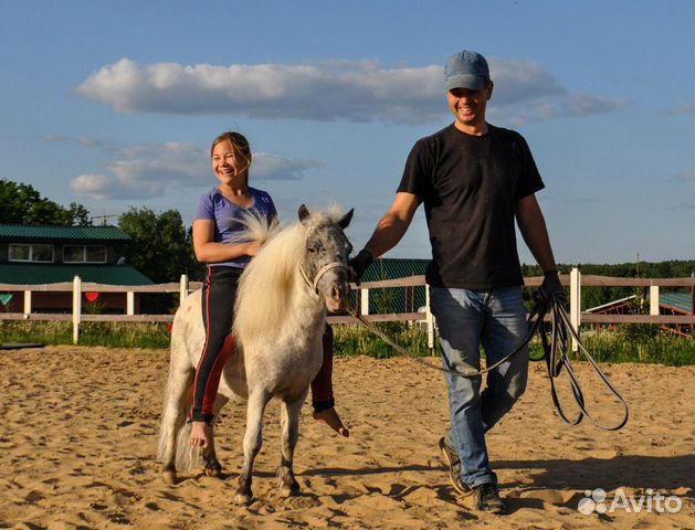Миниатюрная лошадь/miniature Horse купить на Зозу.ру - фотография № 4