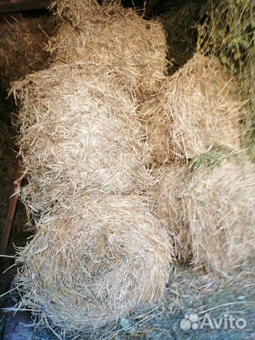 Продаю сено и солому в маленьких рулонах купить на Зозу.ру - фотография № 1