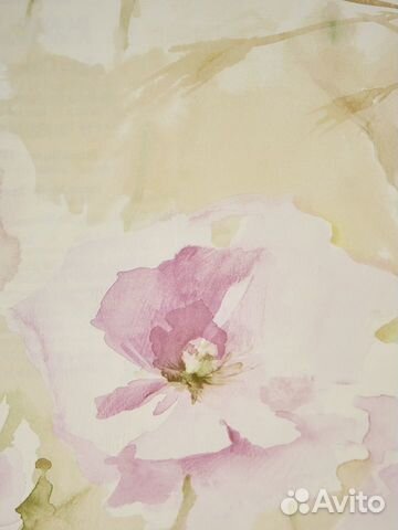 Обои цветы США Обои цветы США