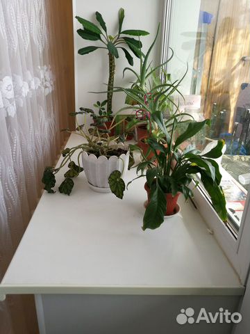 2-к квартира, 51.2 м², 1/5 эт.