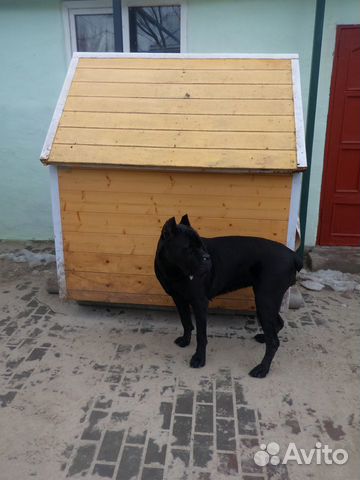 Будка утеплённая для большой собаки продается купить на Зозу.ру - фотография № 1