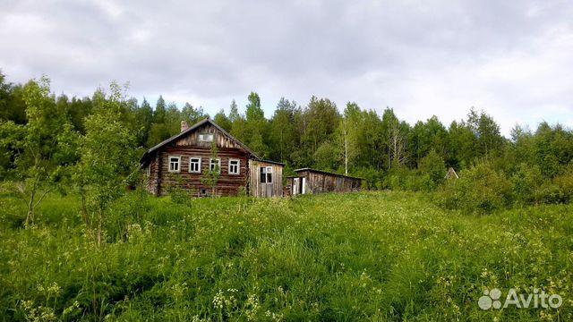 

Дом 50 м² на участке 3 га