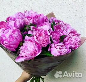 Букеты пионов Букеты пионов
