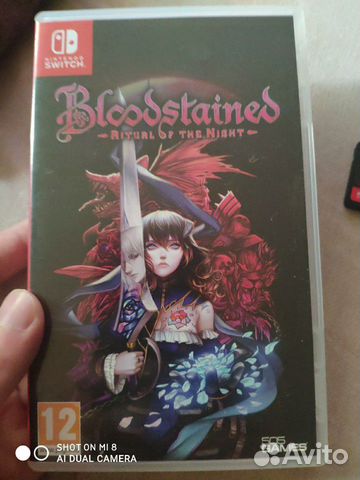 Bloodstained Ritual of the Night switch Bloodstained Ritual of the Night switch