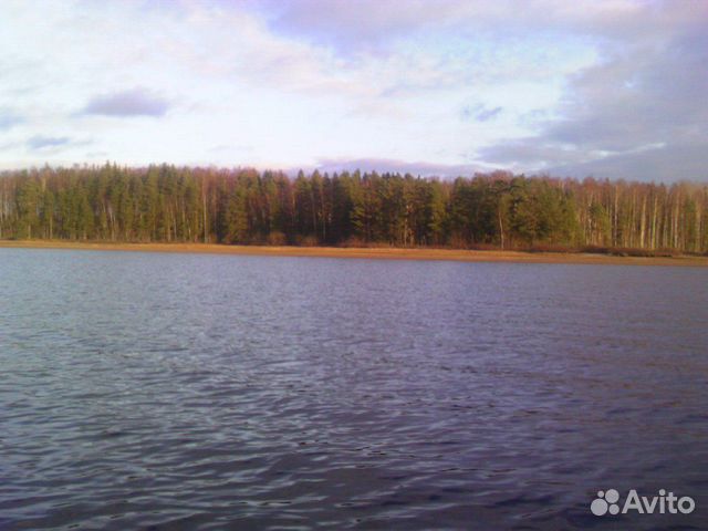 Охота в Новгородской обл