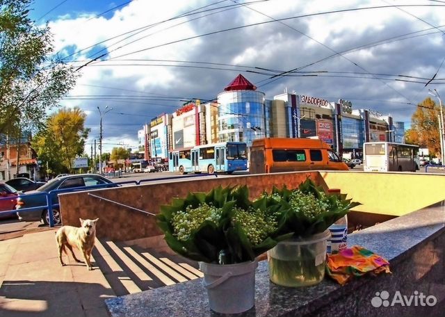 Обьективnikon DX AF Fisheye Nikkor 10.5mm 1:2.8G E