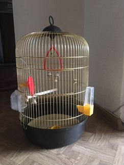 Клетка для птиц