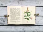Винтажная книга с ботаническими иллюстрациями 1982