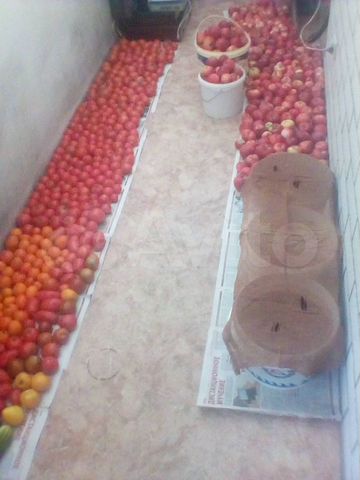 Дача 30 м² на участке 6 сот.